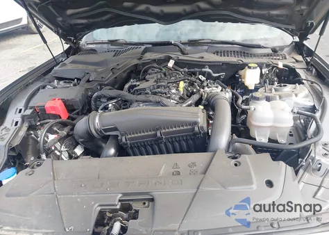 2024 Ford Mustang Ecoboost Fastback from USA, damaged, VIN 1FA6P8TH2R5147092